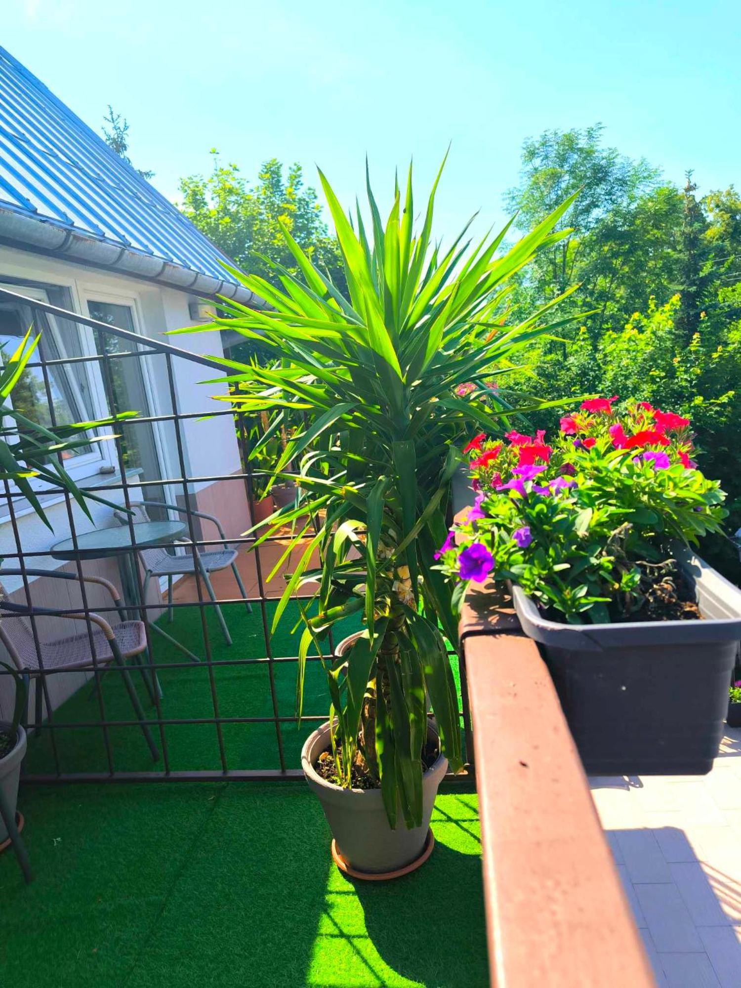 Apartament domek Sowa Mikołajki Zewnętrze zdjęcie